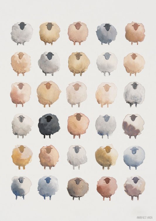 Belonging – Soft Assembly