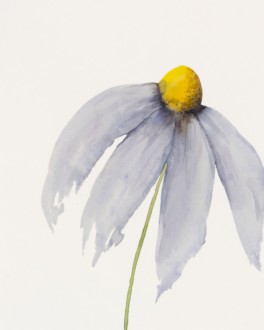 Blooming – Lys solhat