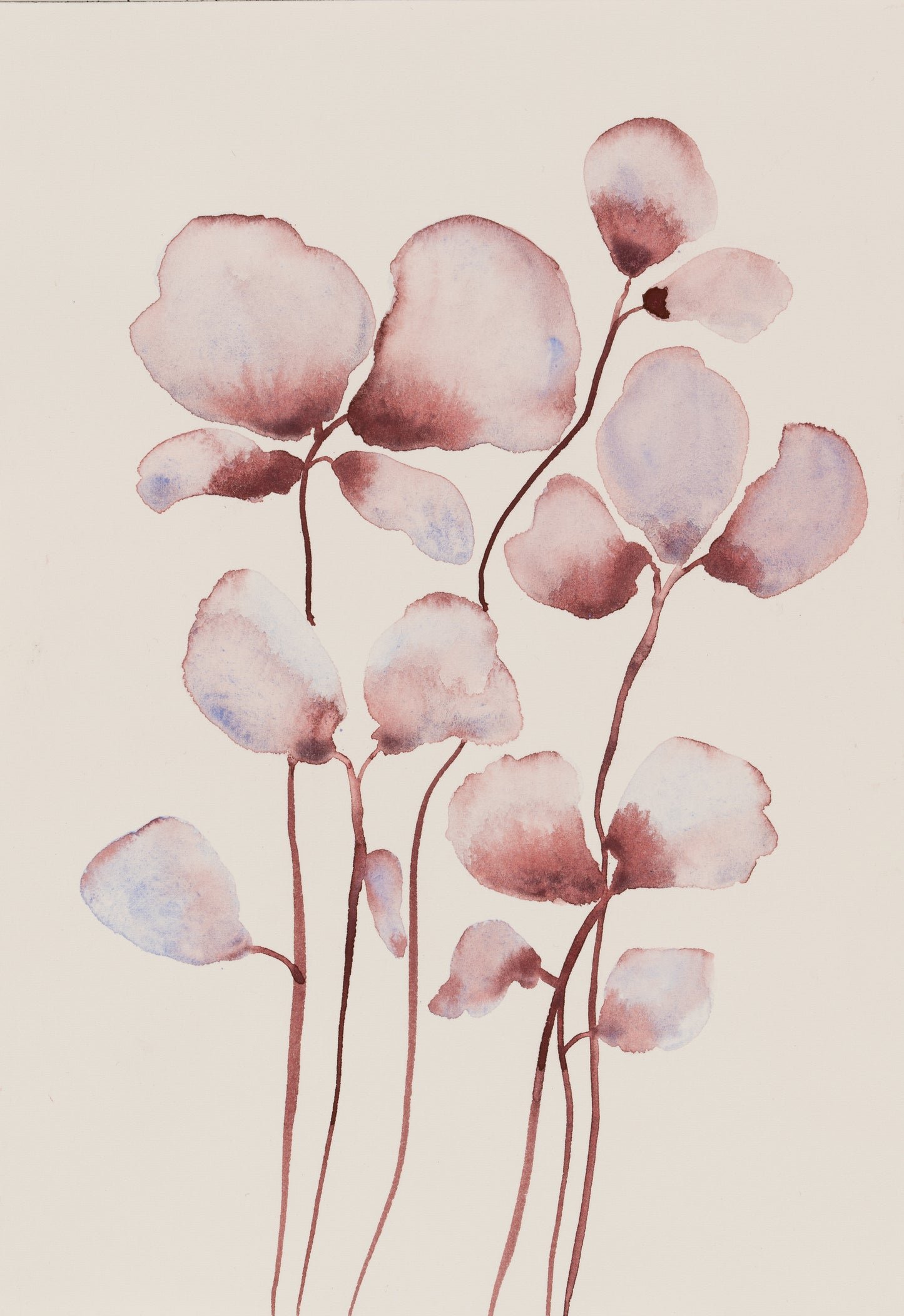 Blooming – Growing Together