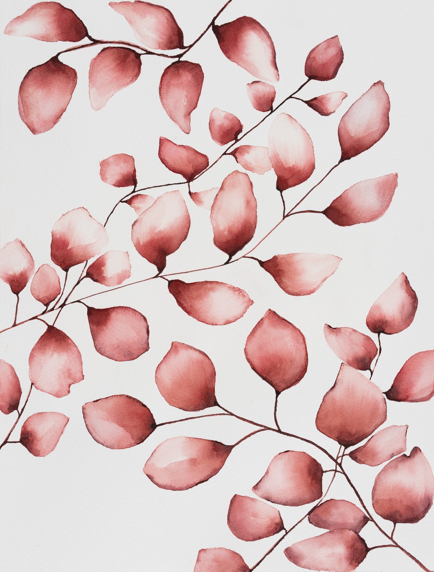 Blooming – Lively Branches