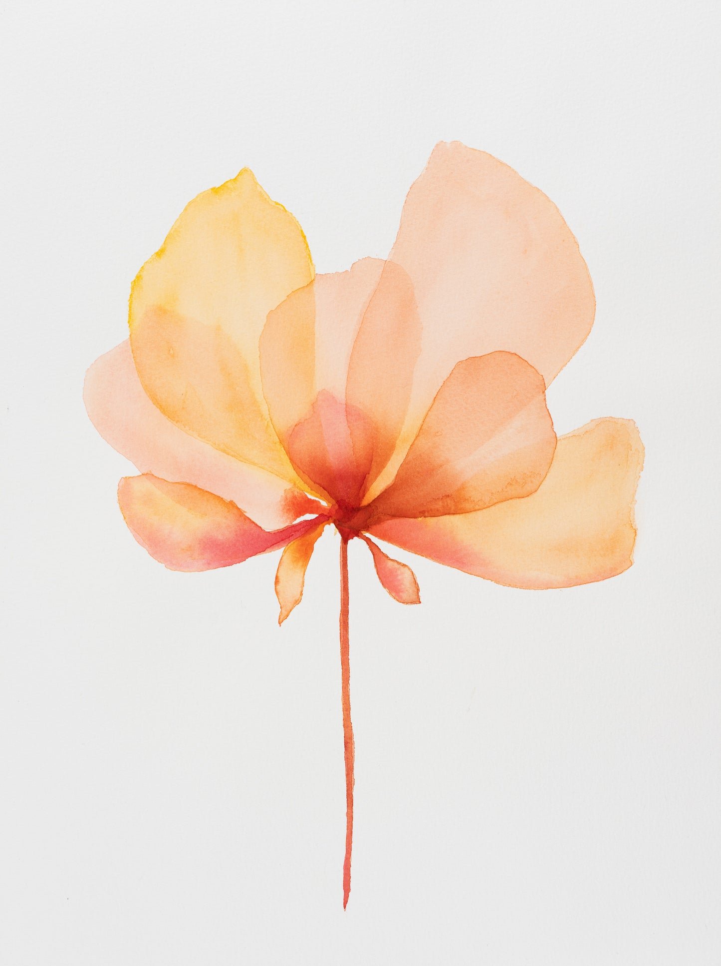 Blooming – Soft Ember